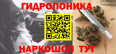 spice Кунгур
