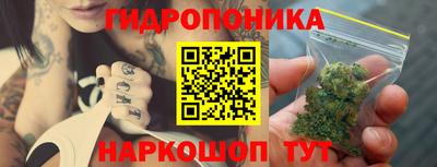ешки Лесосибирск