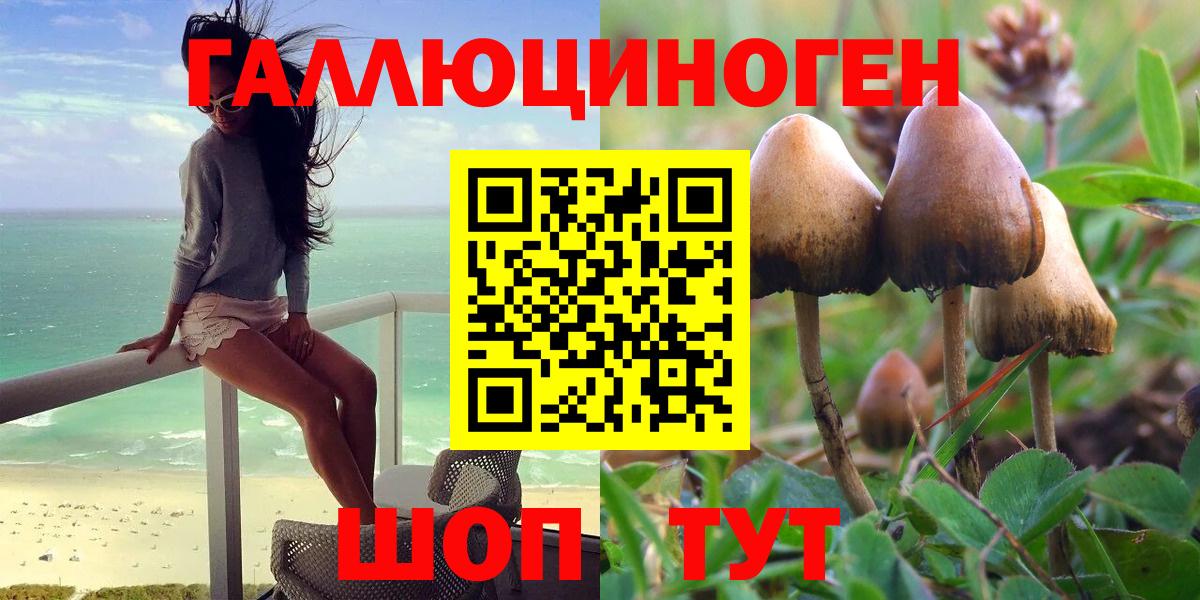 Псилоцибиновые грибы MAGIC MUSHROOMS Усть-Илимск